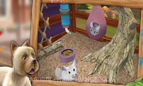 我的动物寄养所截图3