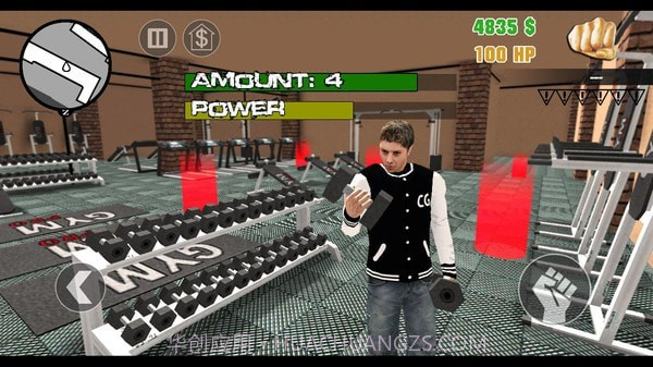 疯狂的圣安地列斯截图3 疯狂的圣安地列斯截图3