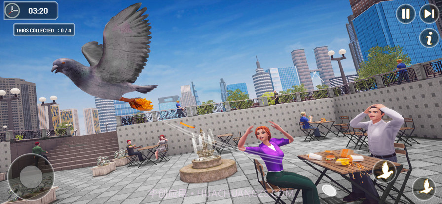 鸽子鸟飞行模拟器截图1