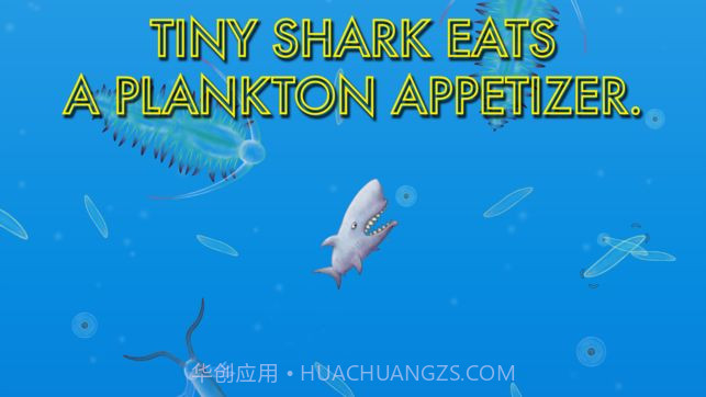 美味鲨鱼截图2 美味鲨鱼截图2