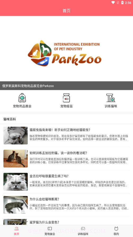 CPCat养宠截图4 CPCat养宠截图4