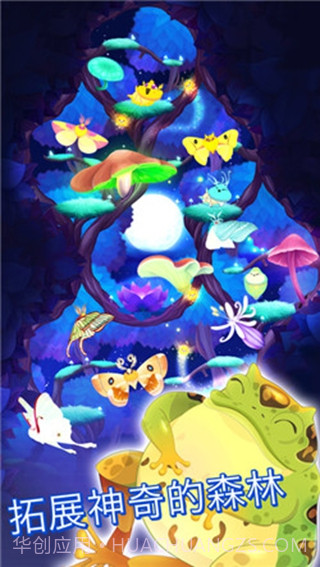 彩翼之星夜截图1 彩翼之星夜截图1