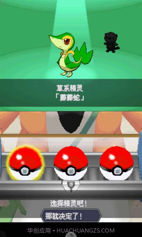 口袋妖怪-白2截图3 口袋妖怪-白2截图3