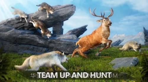 狼族崛起中文版截图3 狼族崛起中文版截图3