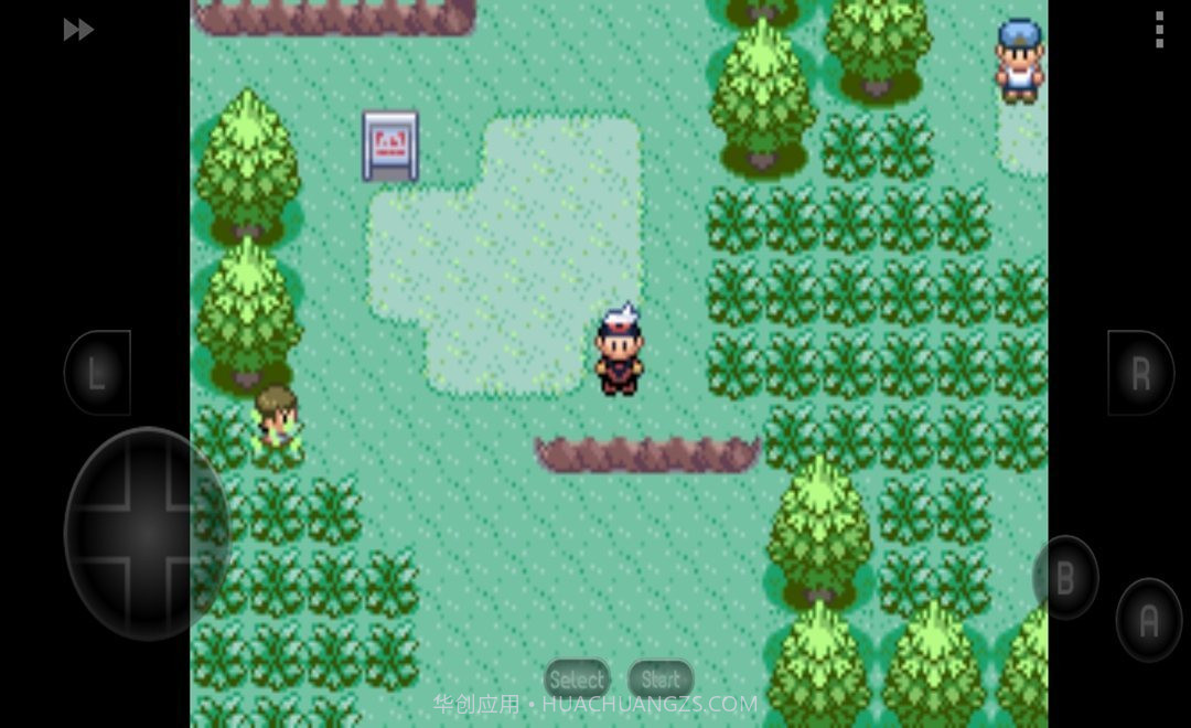 口袋妖怪红宝石中文版截图3