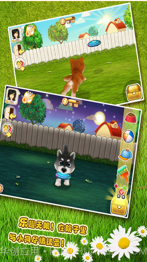 晴天小狗截图2