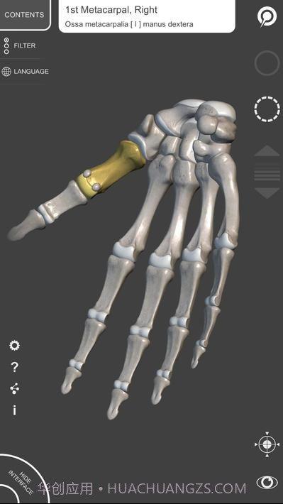 艺术家之3d解剖图截图2 艺术家之3d解剖图截图2