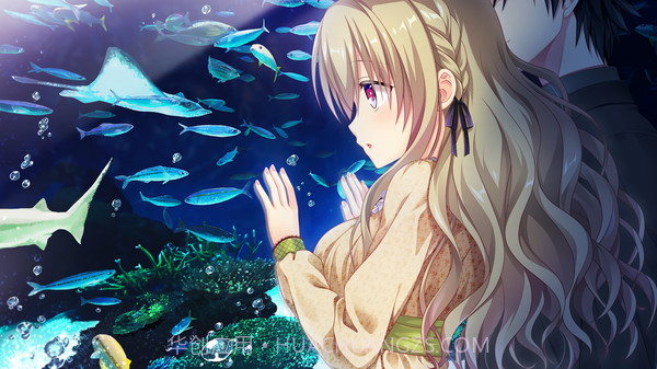 IxSHE Tell中文版截图1