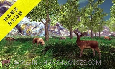 真实采集蘑菇模拟器截图4 真实采集蘑菇模拟器截图4