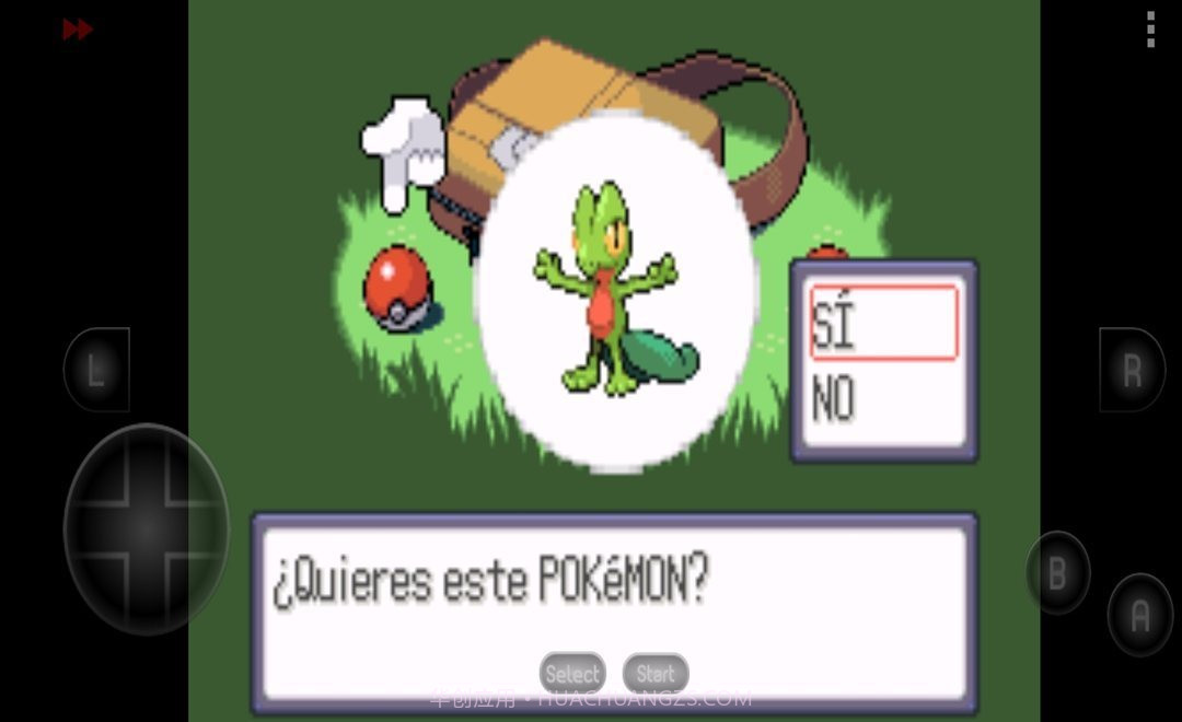 口袋妖怪红宝石中文版截图1