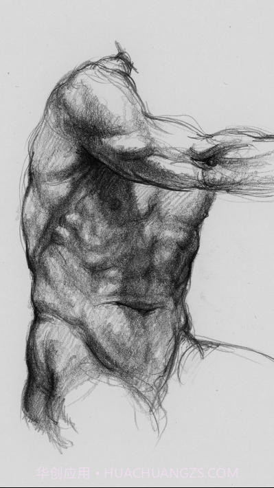 艺术家之3d解剖图截图5 艺术家之3d解剖图截图5