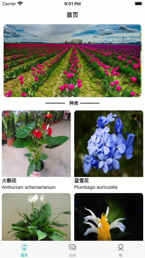 花知识截图1 花知识截图1