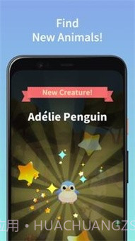 合并可爱的动物截图5 合并可爱的动物截图5