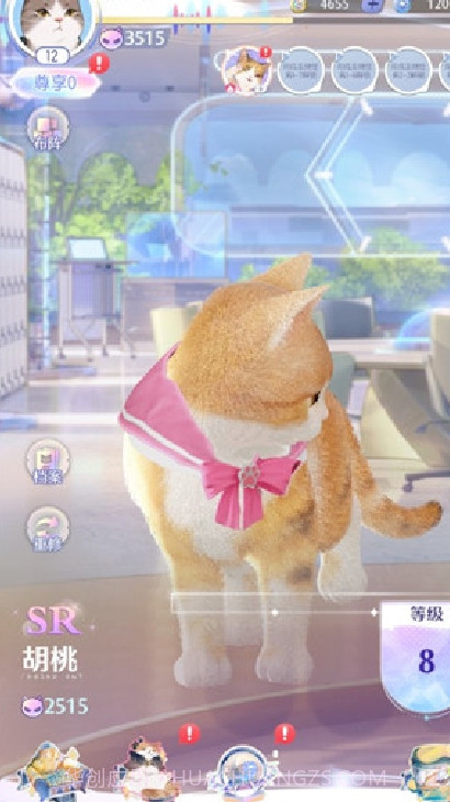 超喵星计划2024截图3