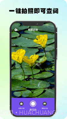 万物识图高手截图4 万物识图高手截图4