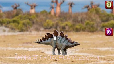 救援恐龙3D乐园截图3 救援恐龙3D乐园截图3