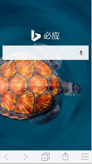 必应搜索截图2 必应搜索截图2