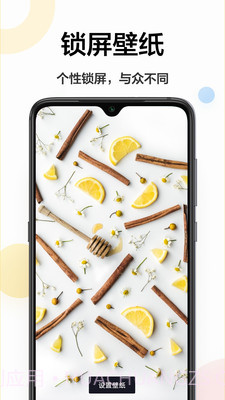 壁纸主题商店截图1