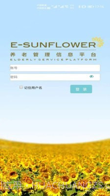 美丽花截图1 美丽花截图1