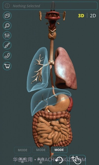 人体3D立体解剖（Visual Anatomy 3D - Human）截图2