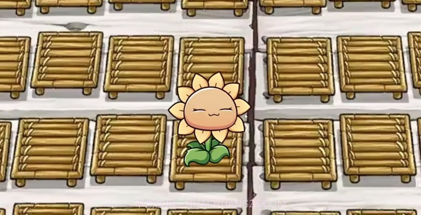 一株向日葵截图2 一株向日葵截图2