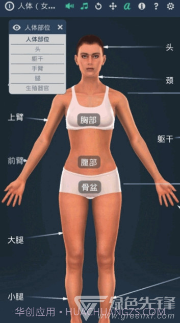 人体系统女性3D软件(专业3D人体结构)V1.1 安卓最新版截图3