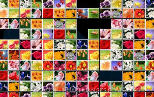 花花连连看截图2 花花连连看截图2