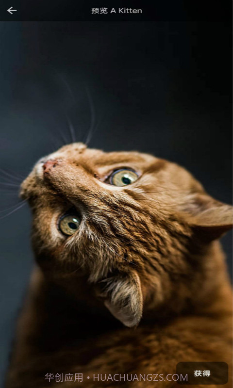 4D壁纸截图2 4D壁纸截图2