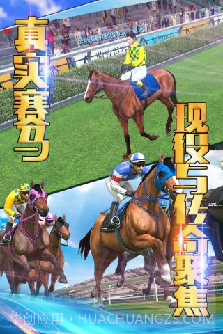 相马大师单机版截图1 相马大师单机版截图1
