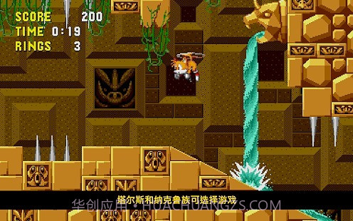 刺猬索尼克单机版截图1 刺猬索尼克单机版截图1