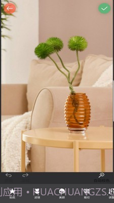 镜像相机截图3 镜像相机截图3