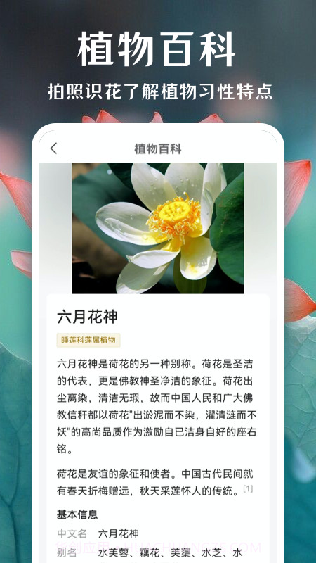 一键拍照识花截图1 一键拍照识花截图1