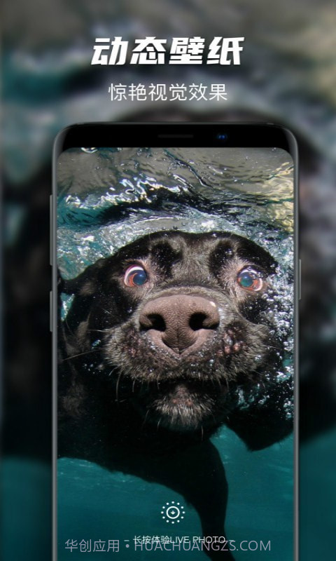 Map主题动态墙纸截图4 Map主题动态墙纸截图4