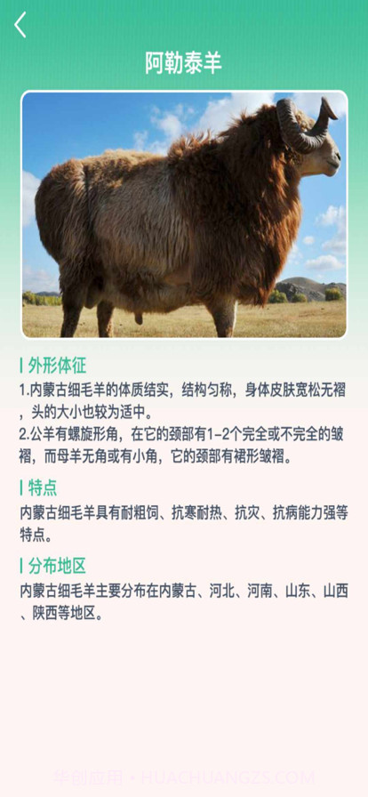 养羊指南截图4 养羊指南截图4
