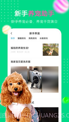 爱宠圈截图3 爱宠圈截图3