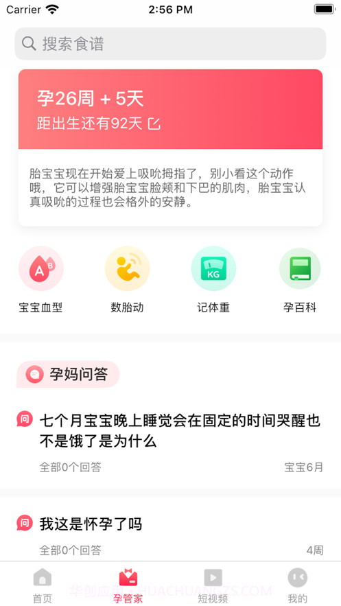 孕妇孕期食谱截图2