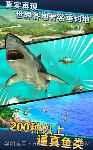 钓鱼发烧友截图4 钓鱼发烧友截图4