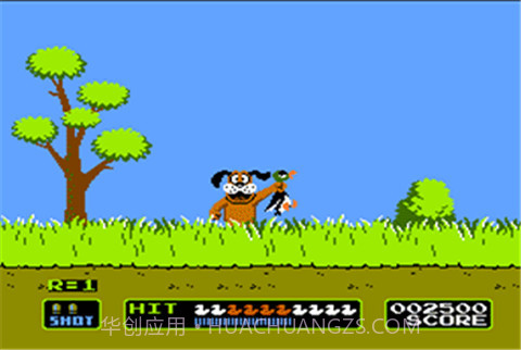 打鸭子 触屏版截图2 打鸭子 触屏版截图2