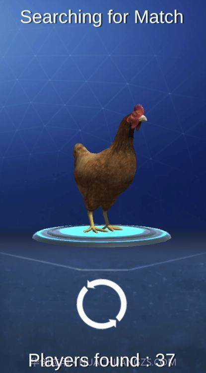 公鸡模拟器截图3 公鸡模拟器截图3
