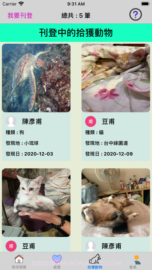 帮它找个家截图2