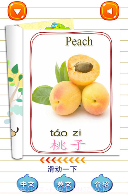 儿童游戏学水果截图3