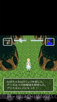 爱丽丝与不思议的迷宫截图5 爱丽丝与不思议的迷宫截图5