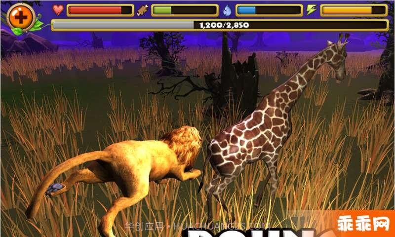 狮子模拟截图4 狮子模拟截图4