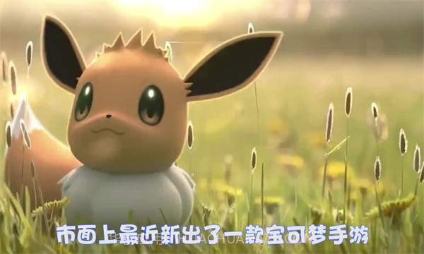 宠物超进化超梦截图2 宠物超进化超梦截图2