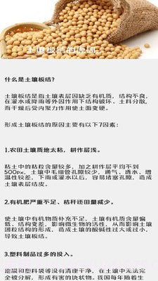 治愈田园生活截图2