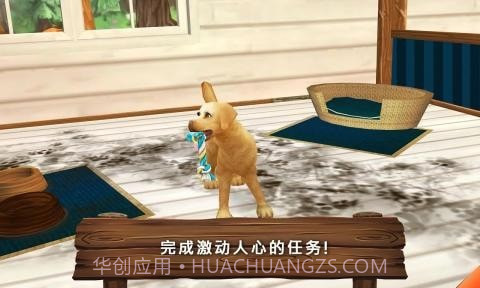 动物旅馆正版截图5 动物旅馆正版截图5