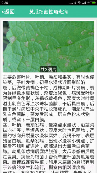 种好地截图3 种好地截图3