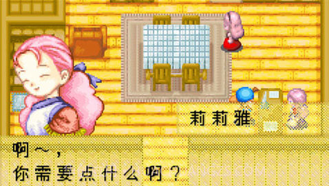 牧场物语截图1 牧场物语截图1