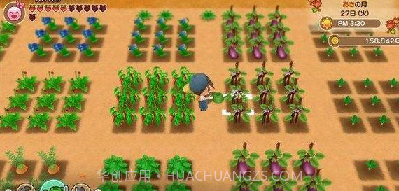 牧场物语再会矿石镇截图2 牧场物语再会矿石镇截图2