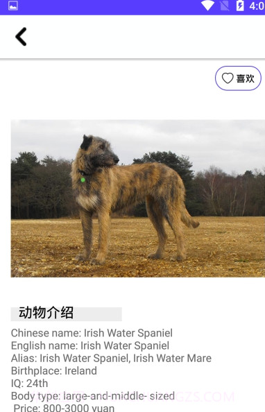 狗狗图鉴(专业动物科普图鉴)安卓正式版截图2 狗狗图鉴(专业动物科普图鉴)安卓正式版截图2